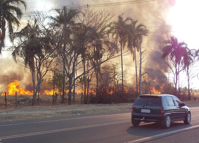 Bombeiros iniciam alertas sobre queimadas em pastagens