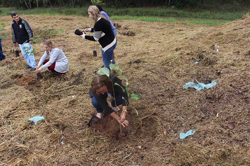 Semana do Meio Ambiente: Professores realizam plantio de árvores na zona rural