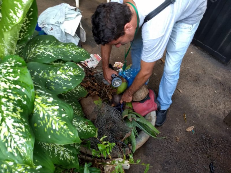 Detalhes Notícia