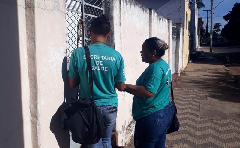 Secretaria da Saúde inicia contagem de cães e gatos