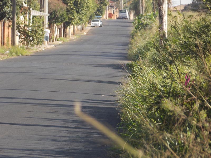 Falta de manutenção: Mato gera reclamação na São Joaquim e Cidade Jardim