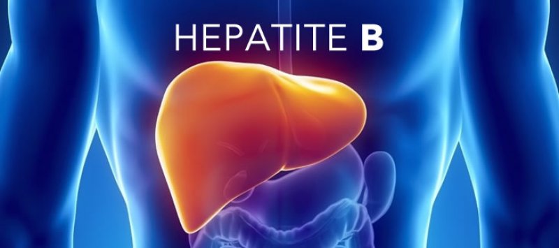 Portadores do vírus da Hepatite B devem fazer exame de Hepatite Delta
