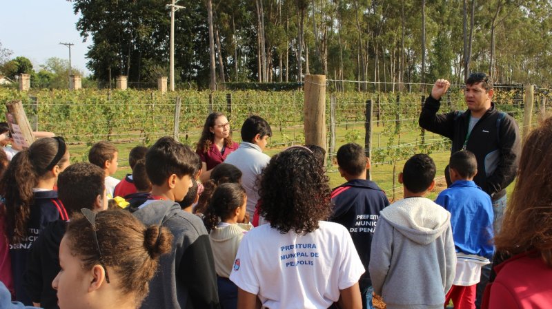 Alunos do Cmei Planalto e Emef Elza Nadai visitam vinícola