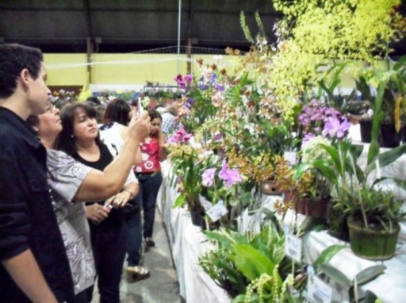 Auxílio financeiro para o Círculo Orquidófilo da cidade