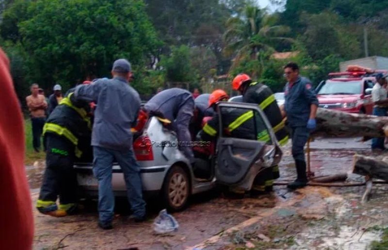 Tempo: Araçatuba e Birigui registram temporal com queda de árvores e granizo