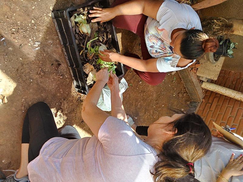 Daep sedia encontro sobre cultivo de frutas em agroflorestas
