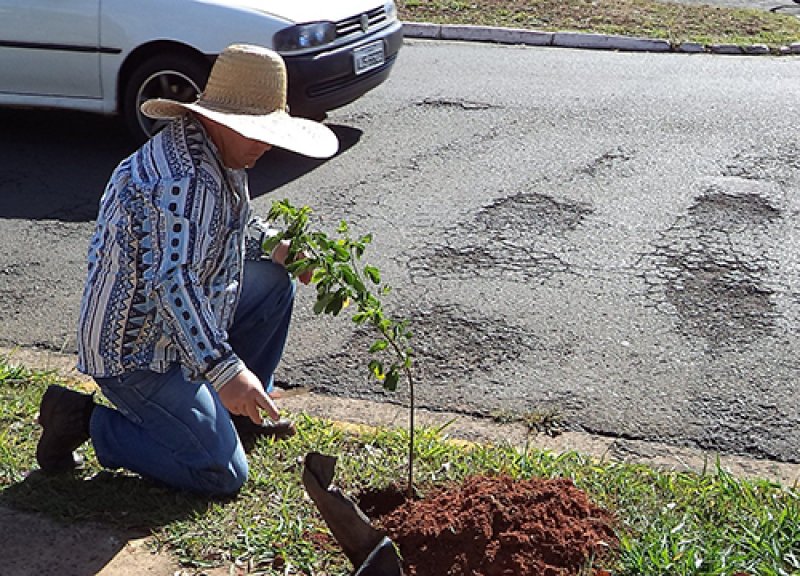 Projeto de floresta urbana é implantado na avenida Mato Grosso