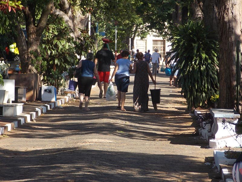 Dia de Finados atrai ambulantes aos cemitérios