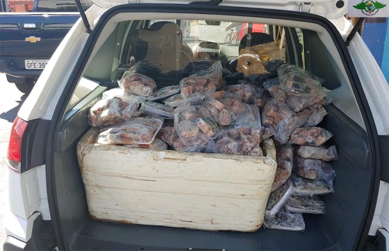 Estoque irregular de peixe é apreendido em Penápolis