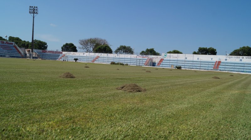 Detalhes Notícia
