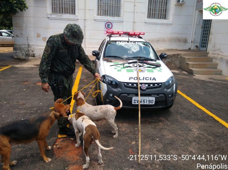 Aposentado é preso em com espingarda em Avanhandava