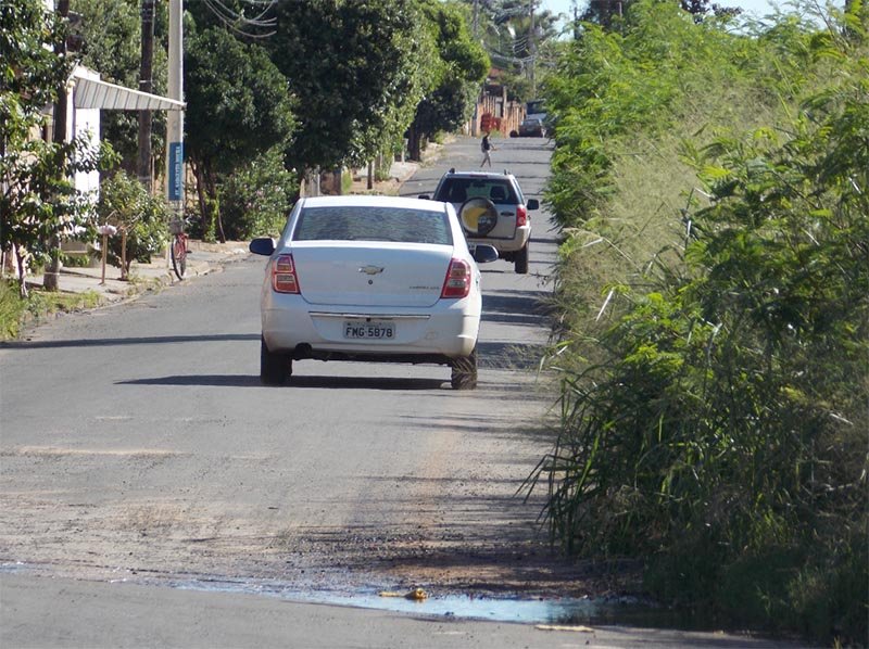 Linha férrea: Mato alto continua gerando reclamações na Cidade Jardim