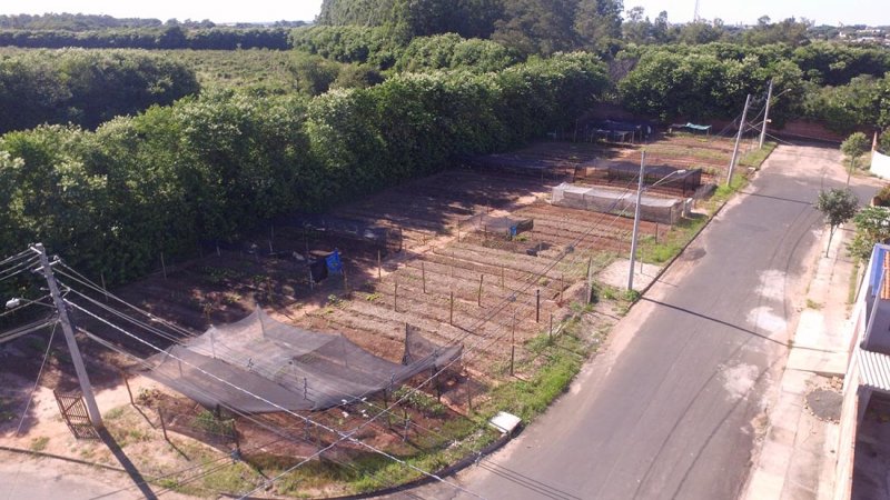 Horta Comunitária do bairro Gualter Monteiro será entregue neste domingo