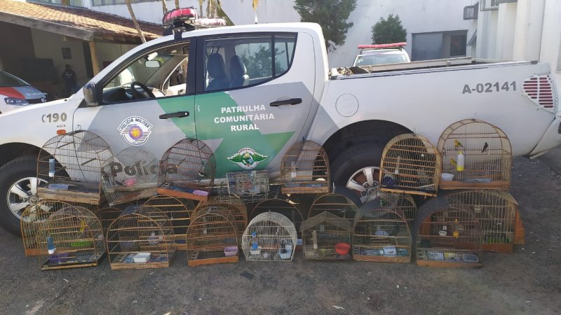 R$ 12,5 mil: Mulher é multada por manter pássaros em cativeiro