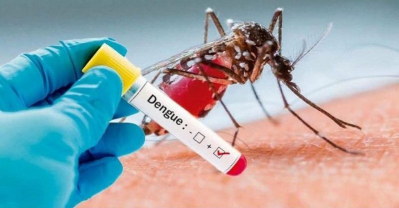Penápolis confirma morte de mulher provocada por dengue