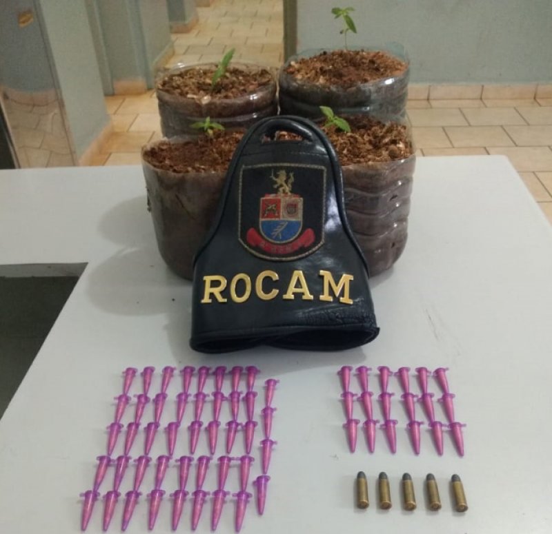 Atendente é preso com drogas, pés de maconha e munições