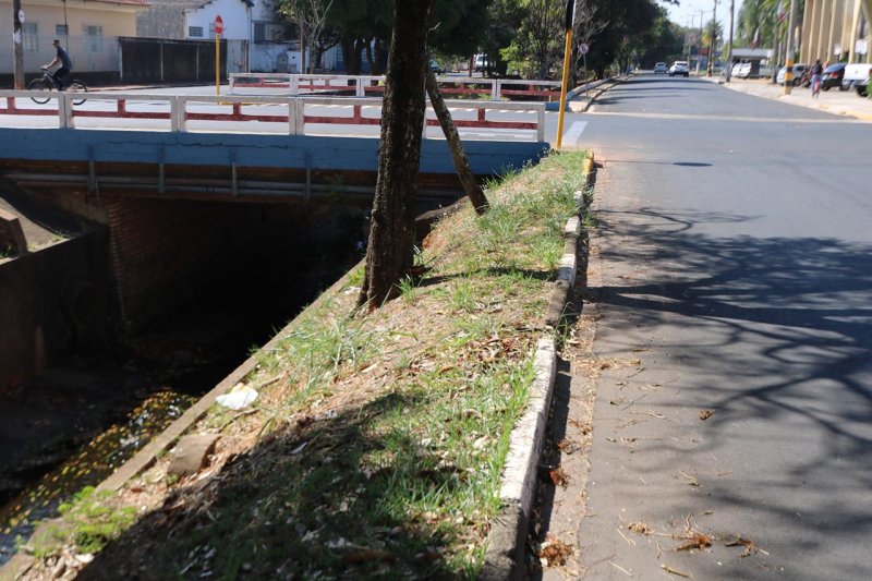 Câmara quer colocação de muretas em pontes da Marginal Maria Chica