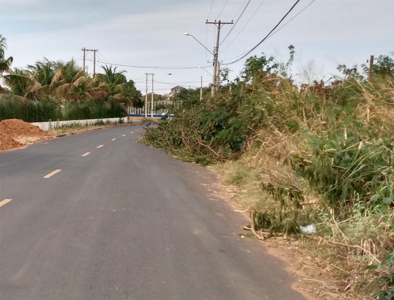 Restos de poda de árvore ocupam parte da avenida Guilherme Lang