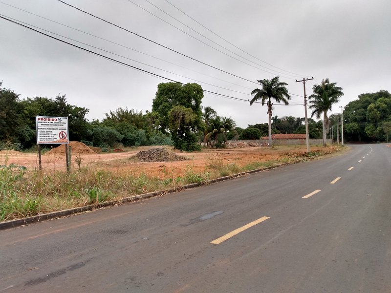 Galhos são retirados e avenida Guilherme Lang está totalmente limpa