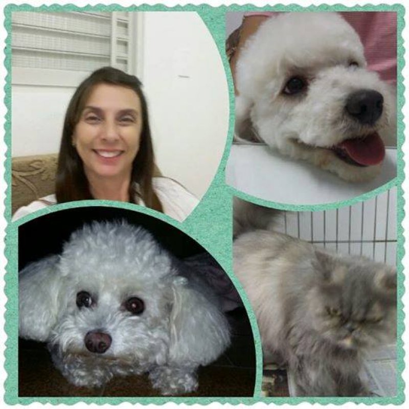 9 de Setembro: Dia do Veterinário