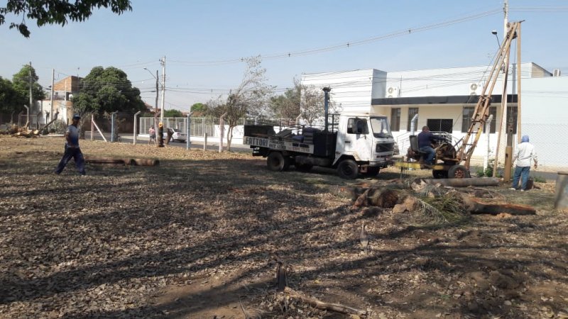Detalhes Notícia