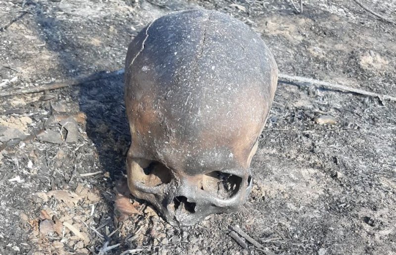 Trabalhador de usina encontra ossada em área incendiada