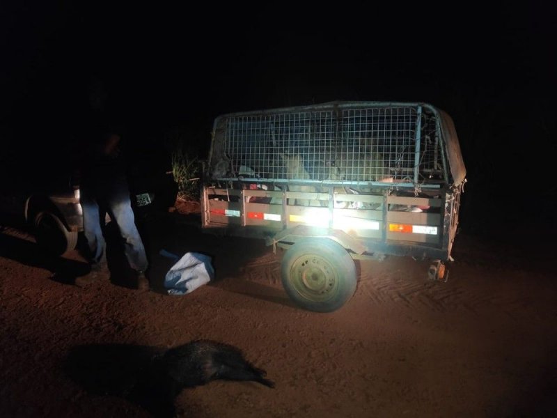 Homens que usavam cachorros para caça são multados pela Polícia Ambiental