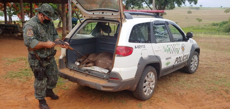 Administrador é preso com espingarda ao abater capivara