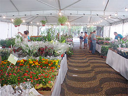 ExpoFlor: Organizadores aprovam movimento