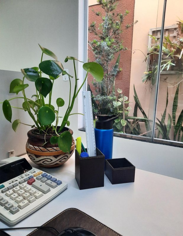 POEMA: A FOTOSSÍNTESE NA MESA DO ESCRITÓRIO