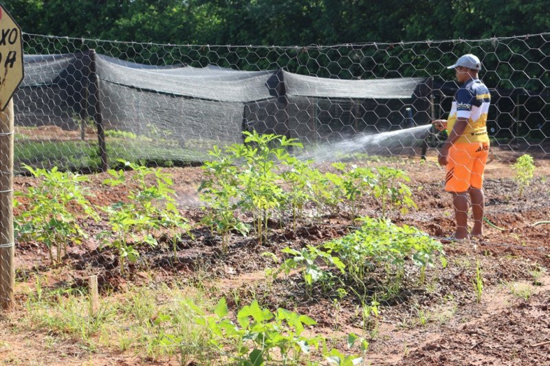 Prefeitura faz prestação de contas dos últimos 8 anos: Hoje são elencados investimentos, conquistas e serviços nas áreas da Infraestrutura Rural e Agricultura