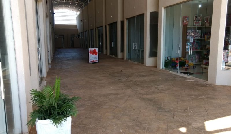Detalhes Notícia