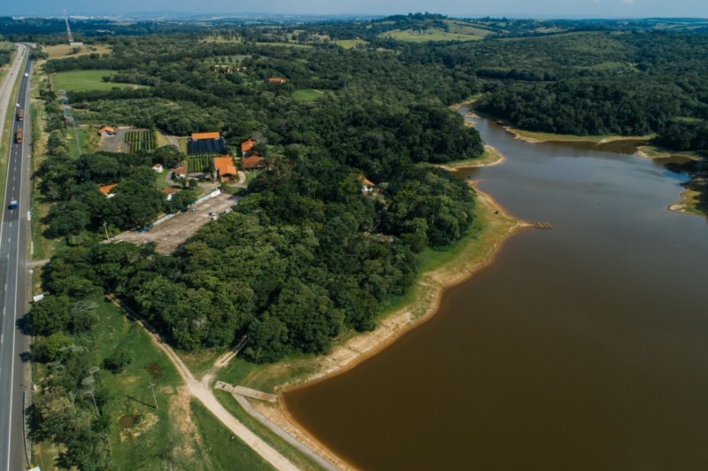 SOS Mata Atlântica é tema de curso online e gratuito
