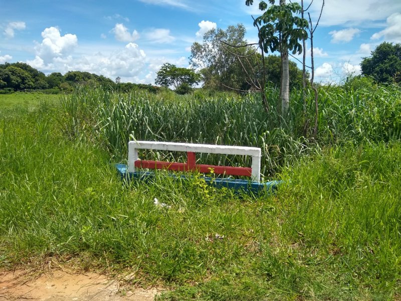 Detalhes Notícia