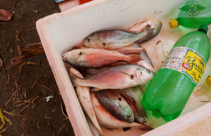 PM Ambiental autua trio por pesca irregular no Bonito