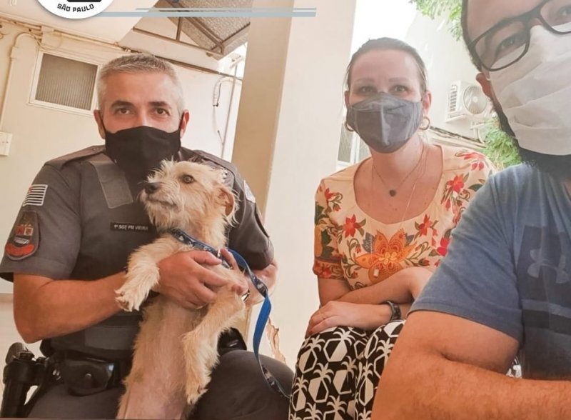 Cão vítima de maus-tratos é resgatado de residência