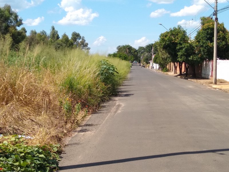 Mato na linha férrea gera reclamação na Cidade Jardim