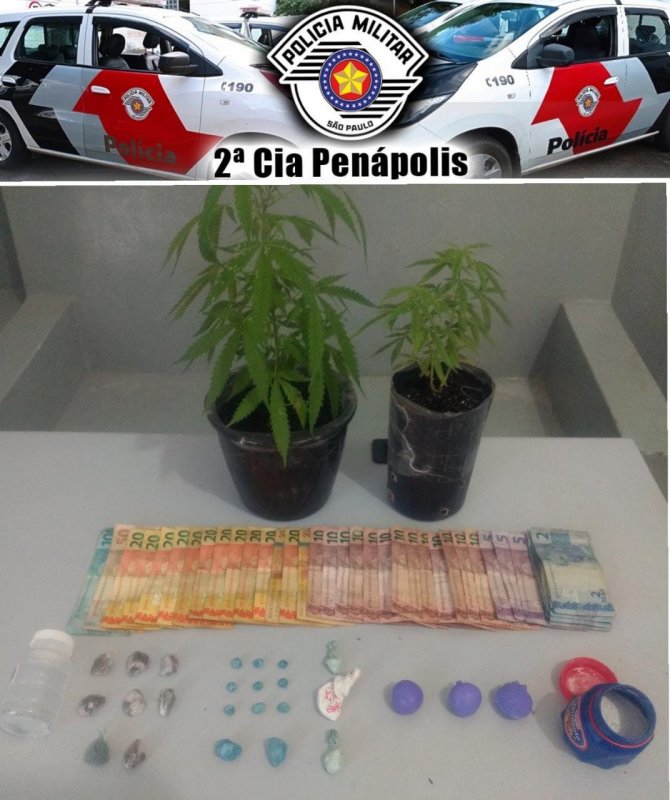 Adolescente é apreendido com pés de maconha e outras drogas