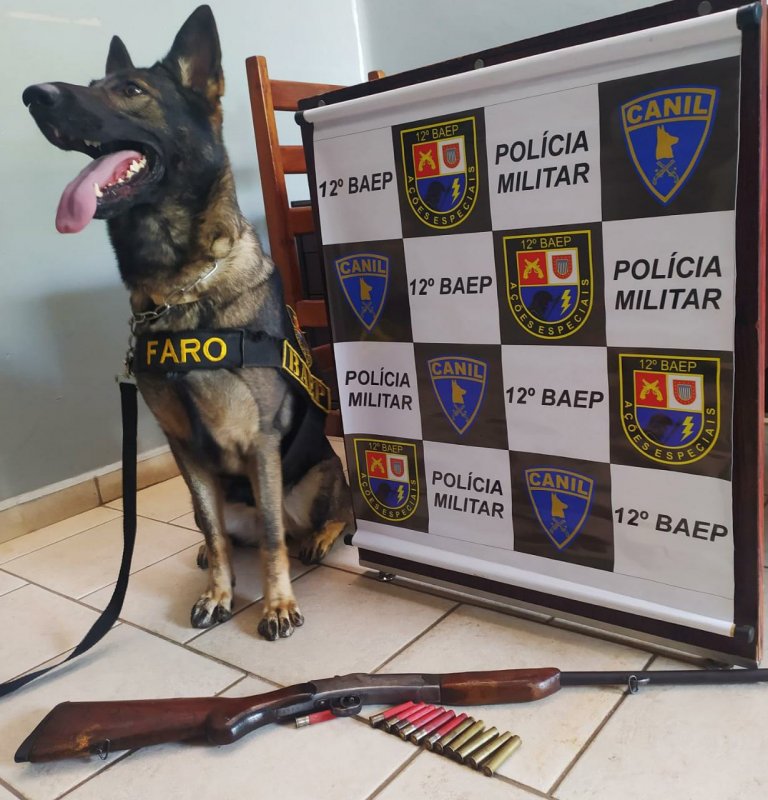 Homem é preso com espingarda e munições em rodovia