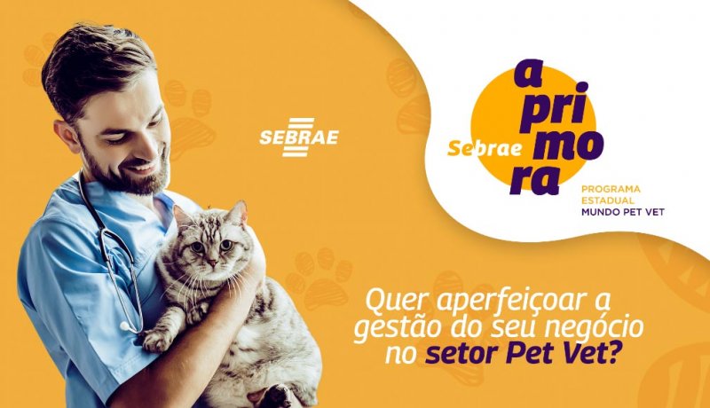 Detalhes Notícia