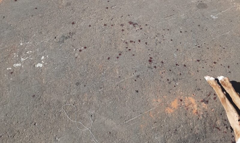 Detalhes Notícia