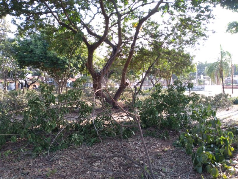 Agricultura efetua limpeza de praça e áreas verdes no Jardim Pevi