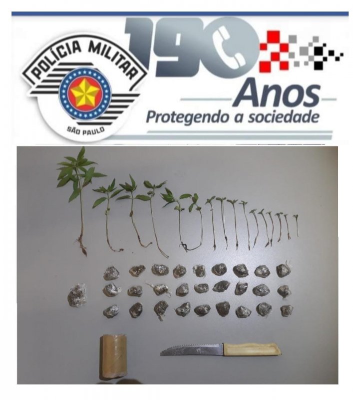 Estudante é preso com pés de maconha em sua casa