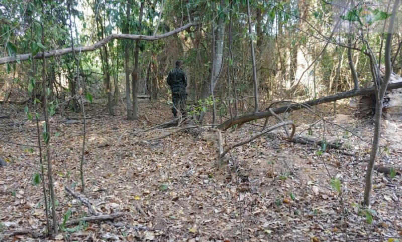 PM Ambiental autua homem por degradação ambiental