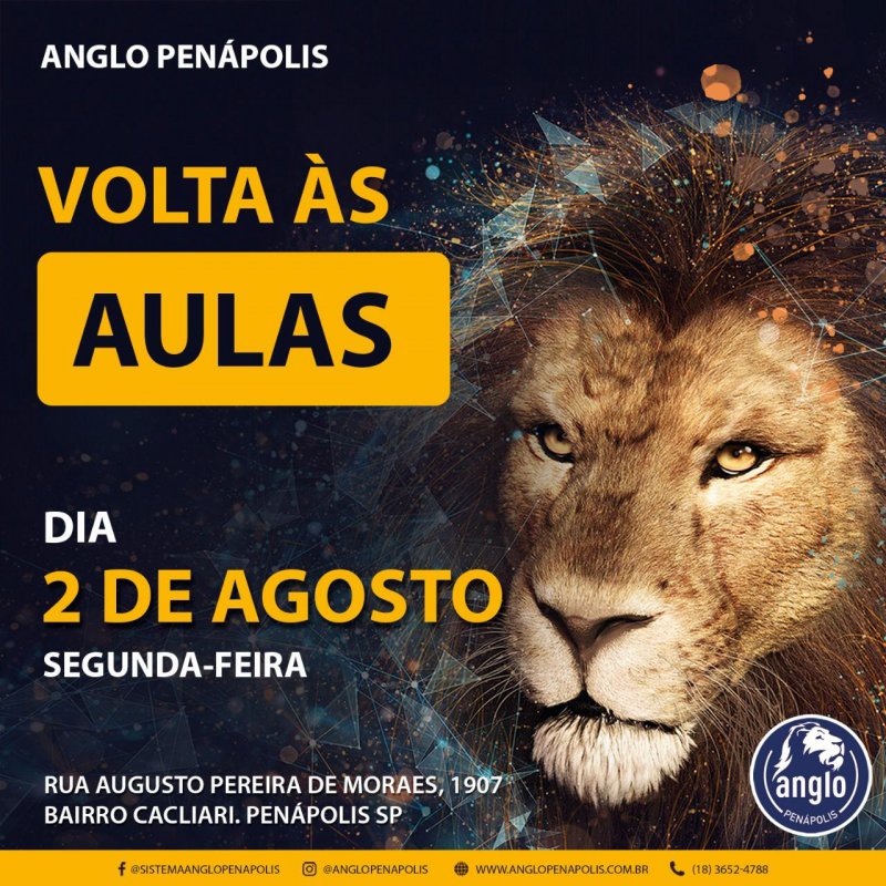 Colégio Anglo volta com aulas presenciais nesta segunda-feira
