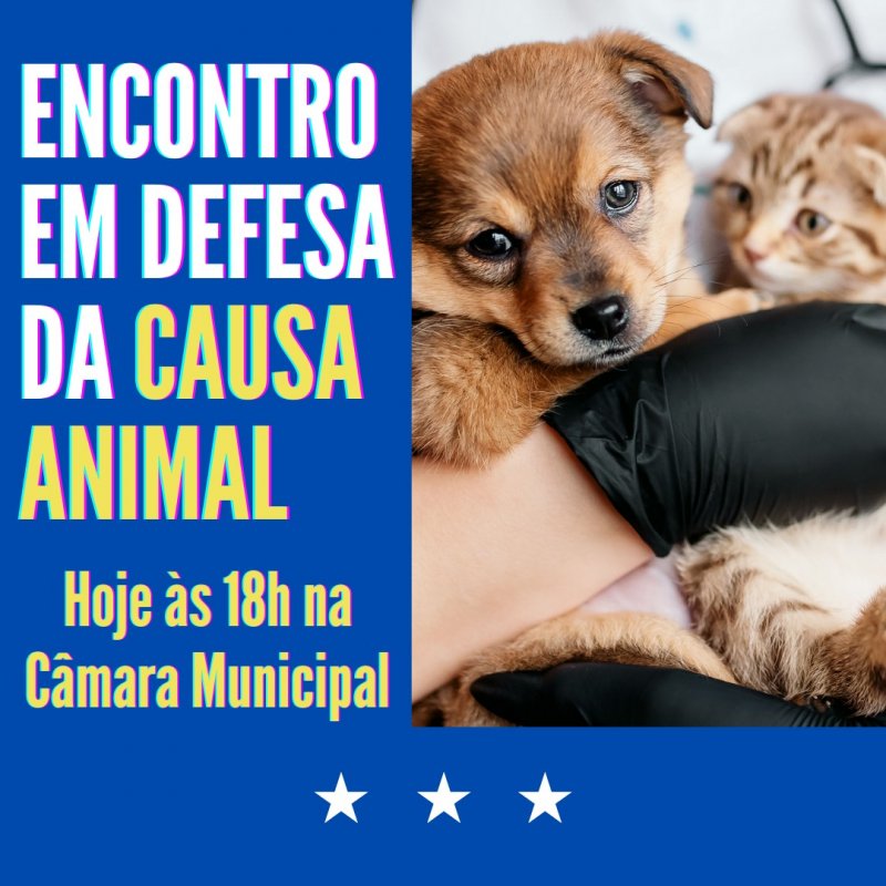 Detalhes Notícia
