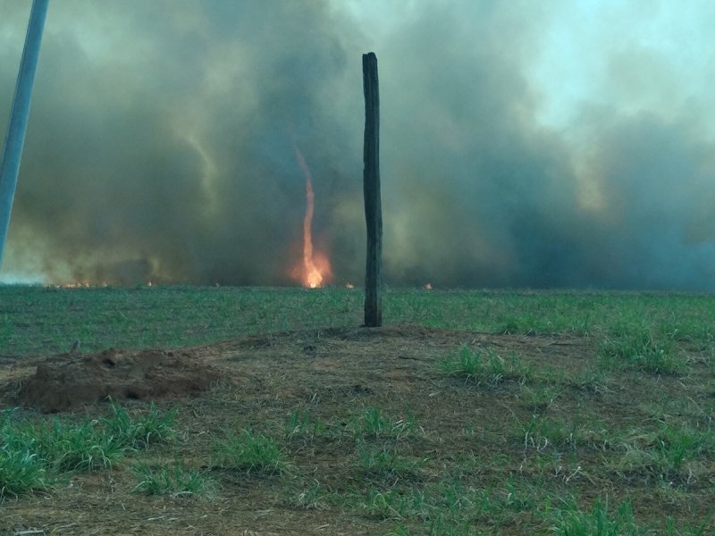 Incêndio atingiu pastagens ontem e Marechal Rondon foi interditada 