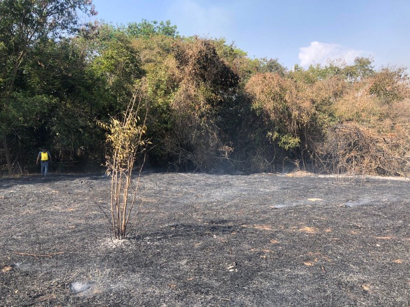 Estiagem: Com tempo seco, Bombeiros reforçam cuidados com fogo