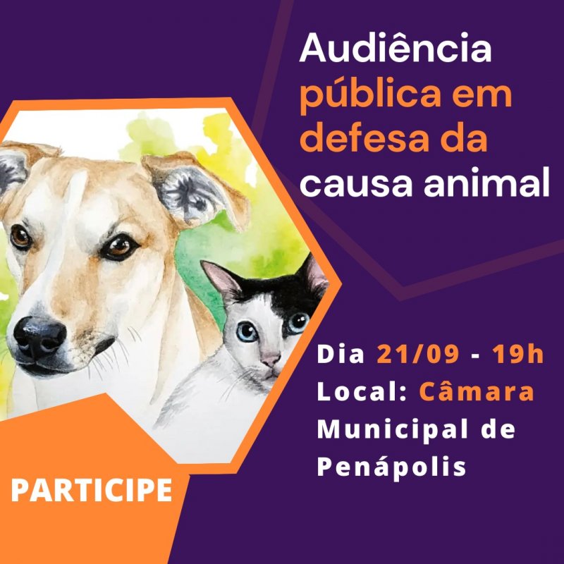 Câmara realizará audiência pública em defesa da causa animal