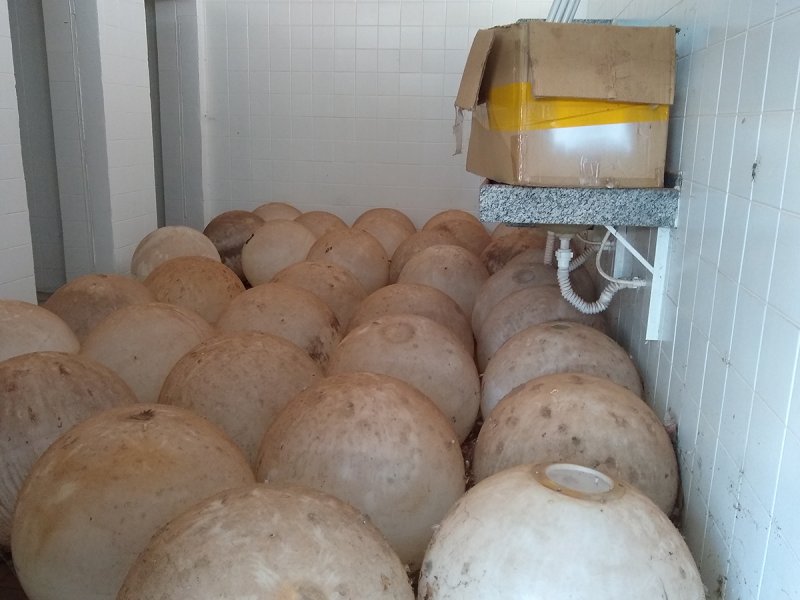 Fonte e banheiros: Moradores cobram melhorias na praça Carlos Sampaio